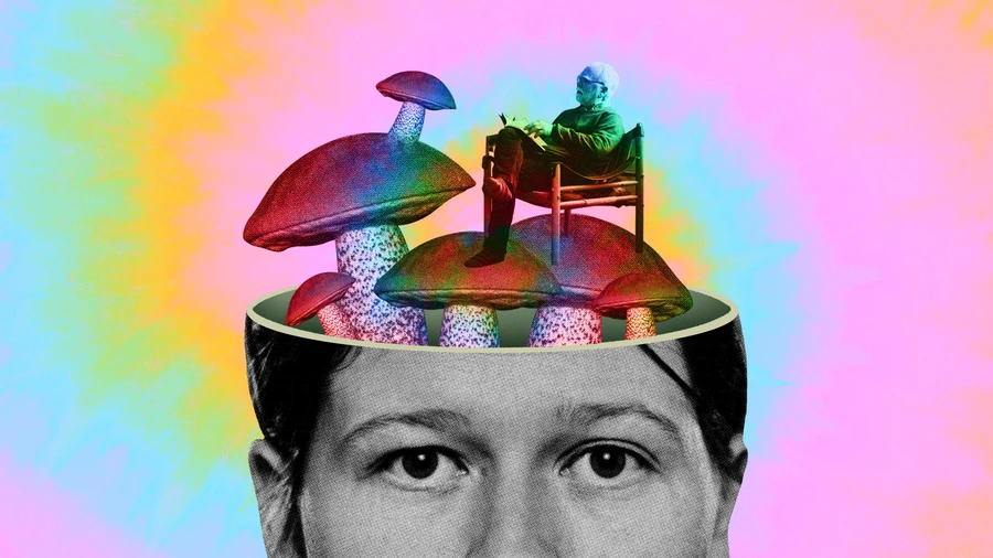 Os Terapeutas não estão preparados para falar com as pessoas sobre usar Psicadélicos