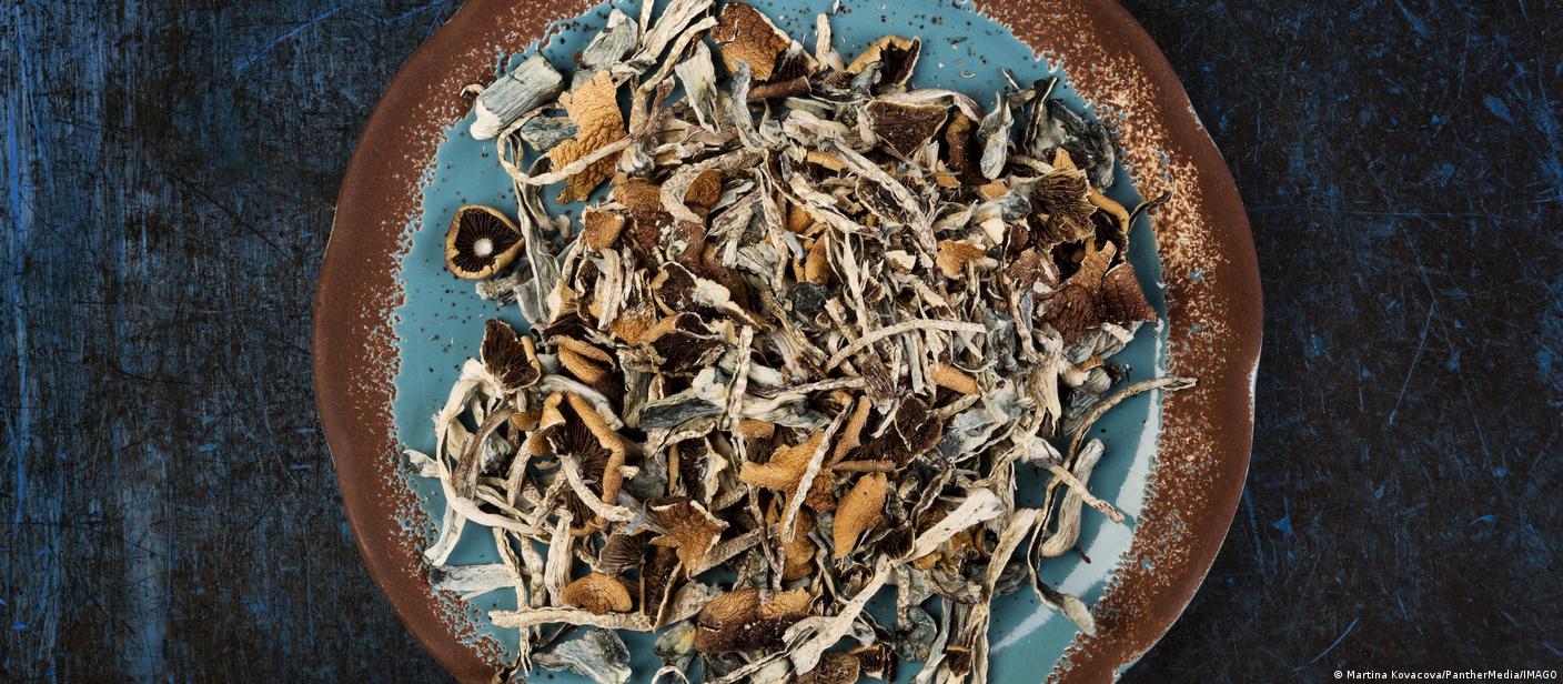 Austrália aprova psilocibina e MDMA para uso terapêutico