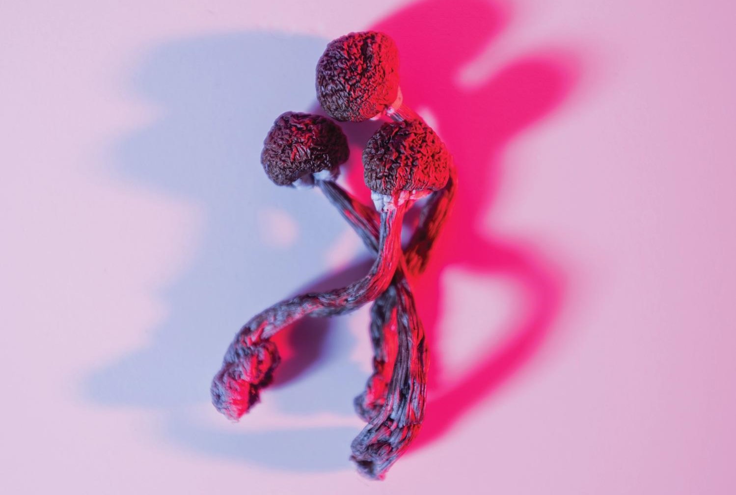 Psicadélicos e o futuro da Psiquiatria