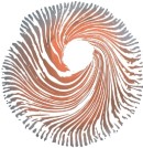 I Simpósio SPACE - Psicadélicos na Clínica: da Ciência à Experiência