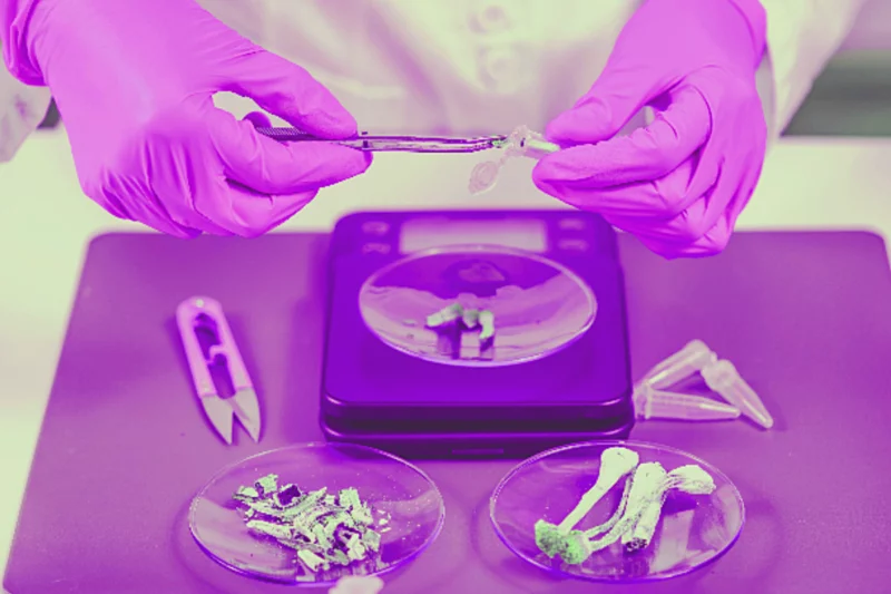 Ensaios clínicos de fase 3 que poderão contribuir para a legalização do uso clínico de psicadélicos