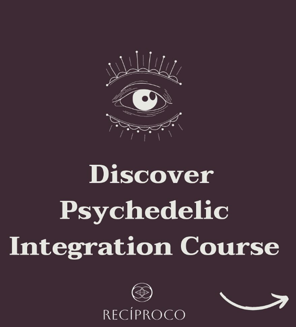 O Método Recíproco: Integração Psicadélica para Profissionais