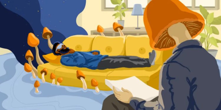 Psicadélicos e Mindfulness: O Futuro da Saúde Mental?